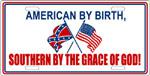 American by Birth License Plate American by Birth License Plate